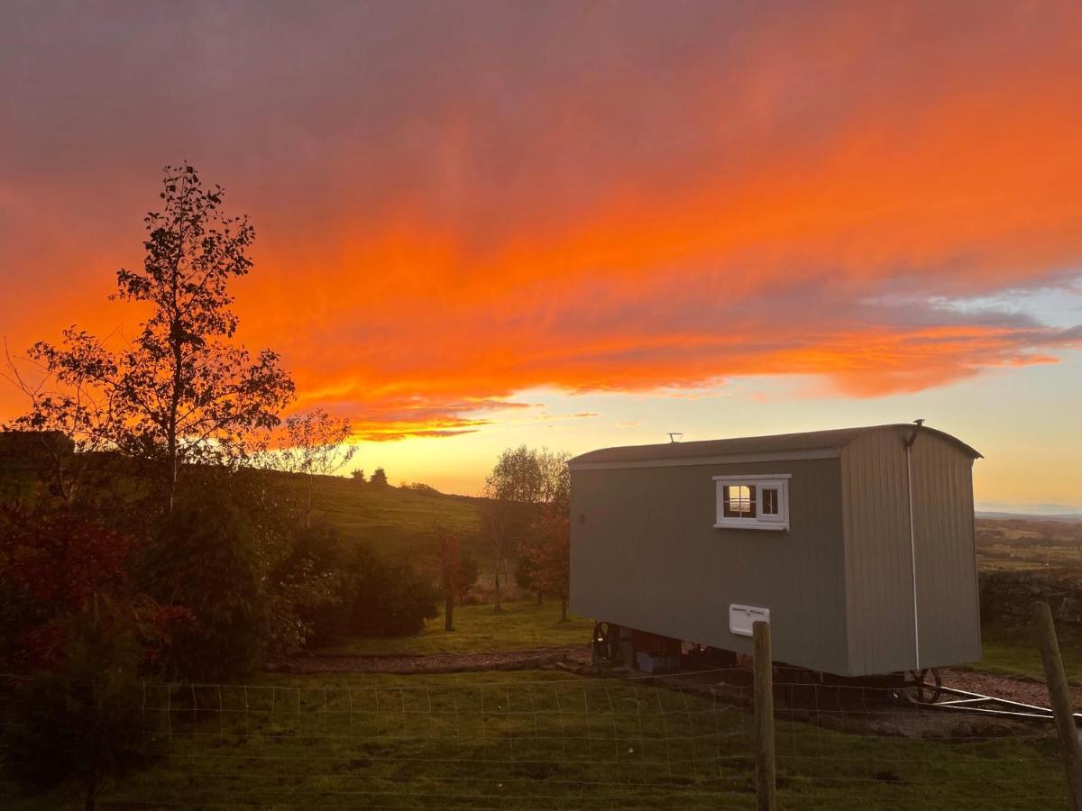 The Buteland Stop Rosie Off Grid Shepherds Hut Bellingham Exterior photo